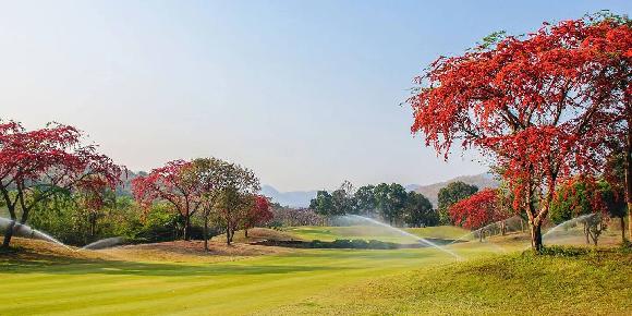 Dragon Hills Golf & Country Club
