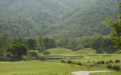 Dragon Hills Golf & Country Club image 1