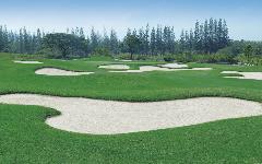 Lake View Resort & Golf Club image 2
