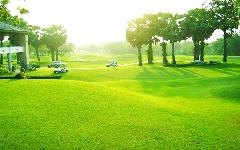 Lake View Resort & Golf Club image 3