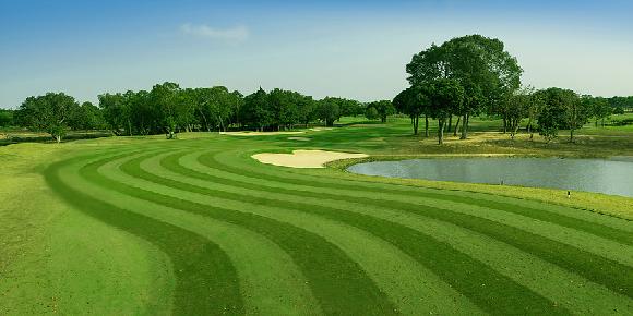 Phoenix Gold Golf Club