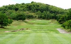 St.Andrews2000 Golf Club image 2