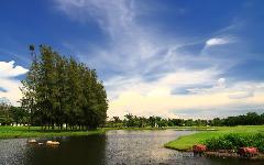 Summit Windmill Golf Club image 2